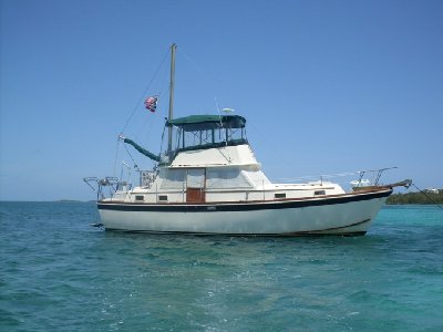 morgan small pic.jpg