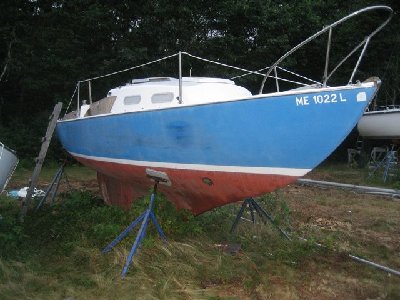IMG_2442.jpg