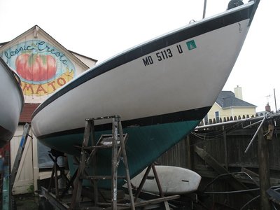 IMG_6785.JPG
