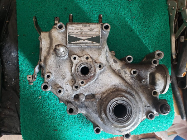 timming case before paint remover.jpeg