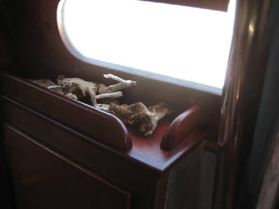 Picture 004-r port over fireplace.jpg